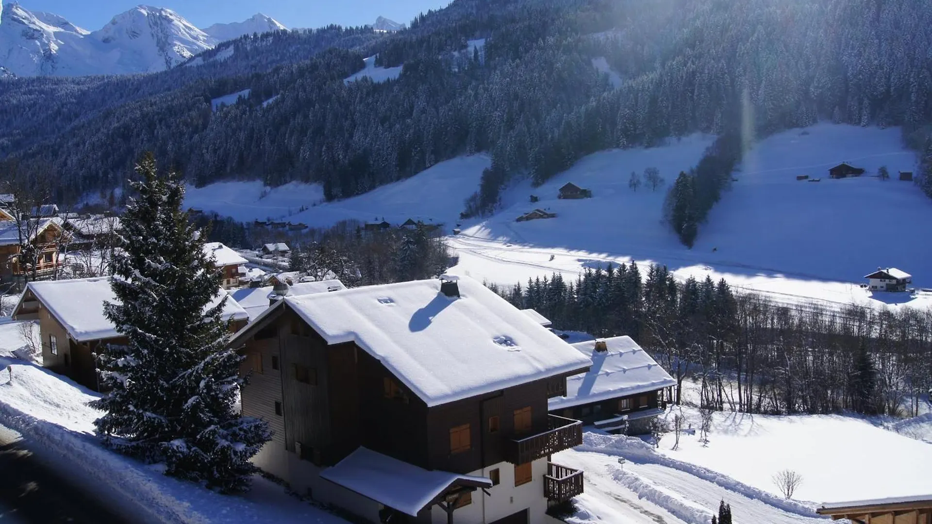 Apartment Charmant Appartement Pres Des Pistes, Parking Inclus - Fr-1-467-138 Le Grand-Bornand